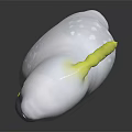 Detailed White Cockatoo Character With Yellow Crest Standing Gracefully On Black Surface
