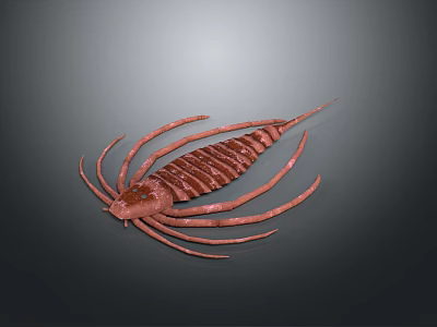 Red Prehistoric Arthropod Model With Segmented Body And Long Appendages 3d model