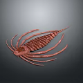 Red Prehistoric Arthropod Model With Segmented Body And Long Appendages