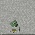 Large Fan shaped Leaves Tree on Circular Green Grass and Gray Tiles with Human Figure