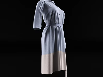 Elegant Light Blue Beige Color Block Dress With Collar Button Belt And Three Quarter Sleeves 3d model