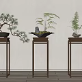 Elegant Bonsai Potted Plants Display on Wooden Stands with Pine Fern and Decorative Figurine