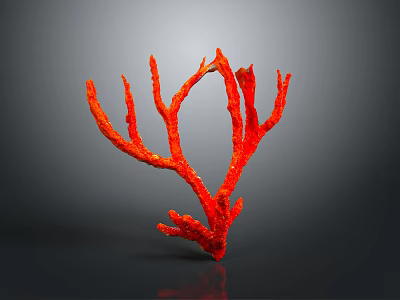 Red Coral Decorative Piece Displaying Branched Structure Against Dark Background 3d model