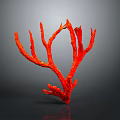 Red Coral Decorative Piece Displaying Branched Structure Against Dark Background