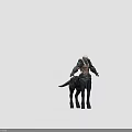 Mythical Half Human Half Horse Game Character With Elf Ears White Hair And Armor