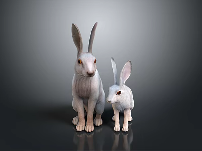 Two Long Eared Light Colored Rabbits Adult And Baby On Dark Shiny Surface 3d model