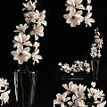 Elegant Pink And White Magnolia Flowers In Tall And Short Vases On Black Background