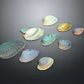 Various Colorful Seashells With Different Shapes Displayed On Dark Background