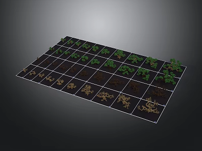 Grid Planting Area With Plants In Different Growth Stages And Brown Soil 3d model