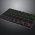 Grid Planting Area With Plants In Different Growth Stages And Brown Soil