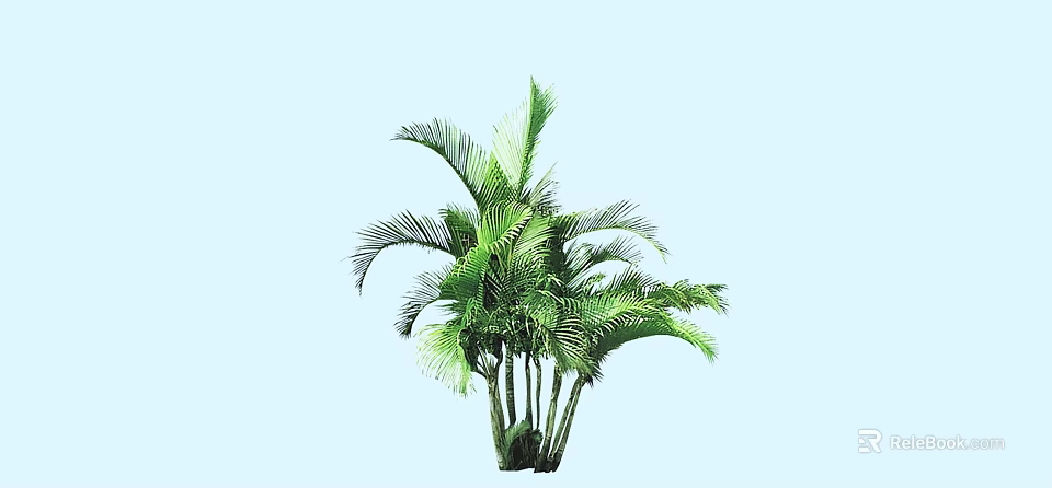 Lush Green Palm Bush With Multiple Stems And Vibrant Foliage On Light Blue Background 3d model 