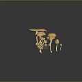 Yellow Mushrooms In Various Shapes Arranged On Dark Reflective Surface