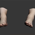 Realistic Human Feet Organ Structure With Detailed Toes Fine Hair And Smooth Skin Surface