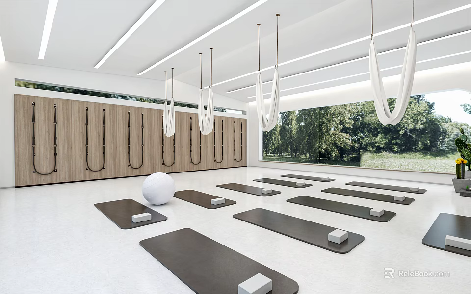 Modern Fitness Studio With Yoga Mats Hanging Rings Wooden Lockers Fitness Ball And Green View 3d model 