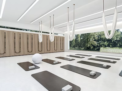 Modern Fitness Studio With Yoga Mats Hanging Rings Wooden Lockers Fitness Ball And Green View 3d model