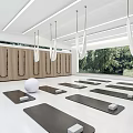 Modern Fitness Studio With Yoga Mats Hanging Rings Wooden Lockers Fitness Ball And Green View