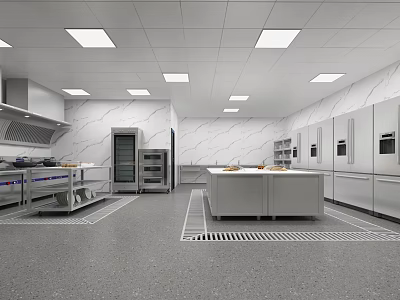 Modern Commercial Kitchen Interior With Marble Island Stainless Steel Cabinets And Recessed Lights 3d model