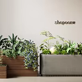 Potted Bonsai Plants In Wooden And Gray Containers With Various Green Plants Blue Flowers Ferns