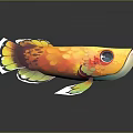 Colorful Artistic Fish With Vibrant Colors Large Eye Fins Tail And Dark Background Reflection