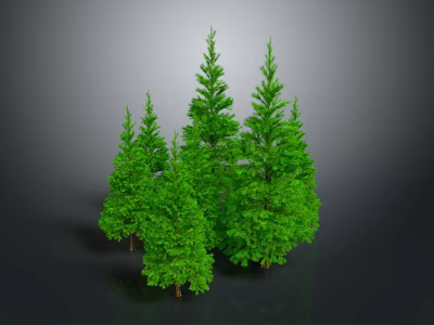 Multiple Green Pine Trees In 3D Model With Gray Background 3d model