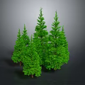 Multiple Green Pine Trees In 3D Model With Gray Background