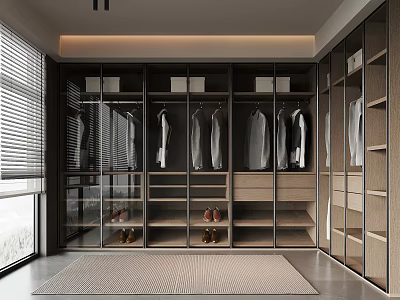 Modern Walk in Closet Interior With Glass Doors Hanging Clothes And Wooden Cabinets 3d model