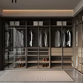 Modern Walk in Closet Interior With Glass Doors Hanging Clothes And Wooden Cabinets
