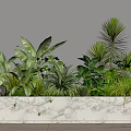 Plant heap 3d model