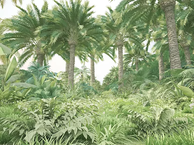 Tall Palm Trees Surrounded By Lush Green Plants In Tropical Garden 3d model