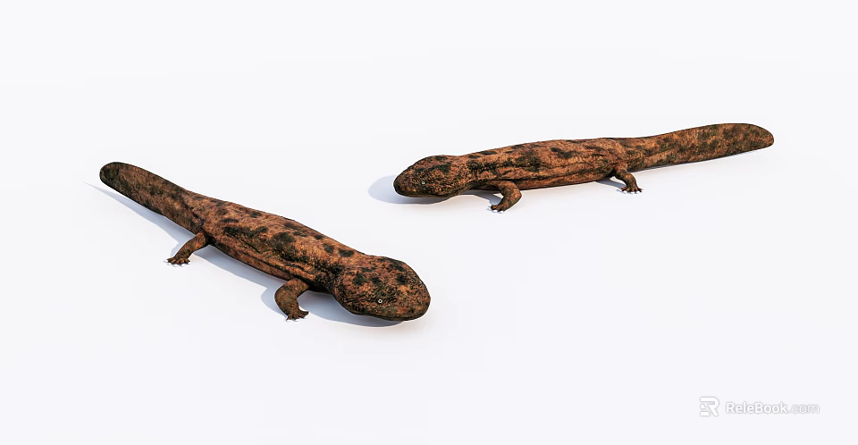Two Brown Spotted Reptiles With Long Bodies On White Background 3d model 