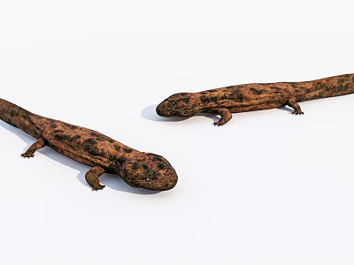 Two Brown Spotted Reptiles With Long Bodies On White Background 3d model