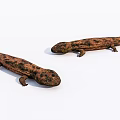 Two Brown Spotted Reptiles With Long Bodies On White Background 3d model