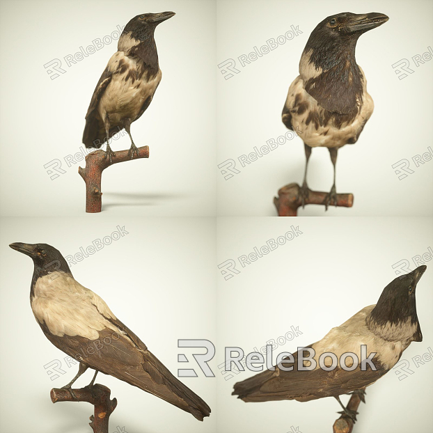 Modern Crow model