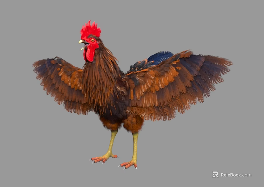 Brown Feathered Rooster with Red Comb Standing and Spreading Wings as Flying Animal 3d model 