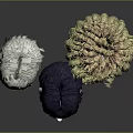 Three Character Head Models With Diverse Hairstyles And Hair Color Designs