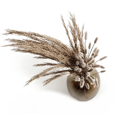 Natural Dried Pampas Grass Arrangement In Clear Glass Vase For Home Decor 3d model
