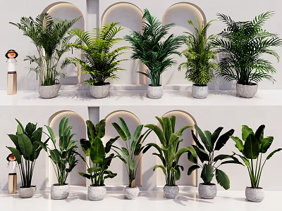 Various Types of Potted Houseplants in White Pots with Arched Background Wall 3d model
