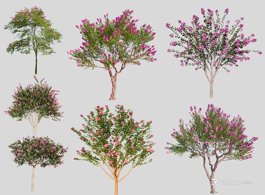 Various Types of Ornamental Trees with Pink Blossoms and Diverse Foliage 3d model 