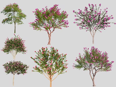 Various Types of Ornamental Trees with Pink Blossoms and Diverse Foliage 3d model