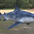 Lifelike Shark Aquatic Animal With Detailed Blue And White Striped Body And Sharp Fins
