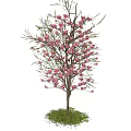 Beautiful Arbor With Purple Flowers Green Leaves Brown Trunk And Grass Base