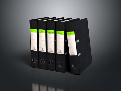 Black Office Folders with Green Labels Five in a Row Metal Rings for Document Organization 3d model