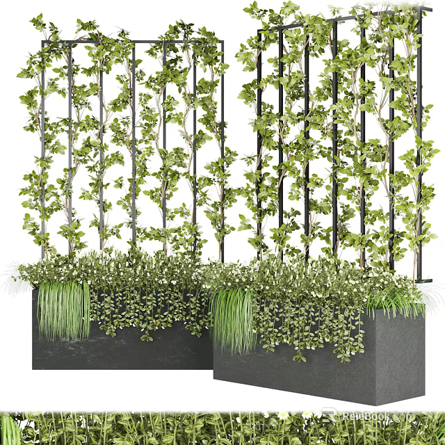 Vertical Green Plant Wall with Climbing Vines Metal Trellis and Black Planters 3d model 