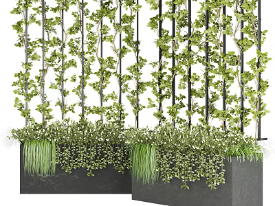 Vertical Green Plant Wall with Climbing Vines Metal Trellis and Black Planters 3d model