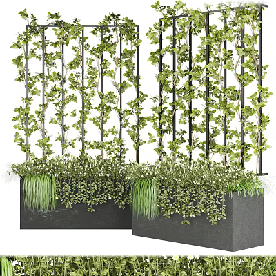 Vertical Green Plant Wall with Climbing Vines Metal Trellis and Black Planters 3d model