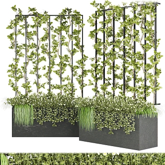 Modern Plant Wall 3d model