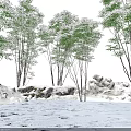 Snow Covered Arbor Trees In Winter Scene With Snowy Ground Rocks And Overcast Sky