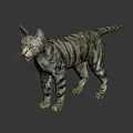 Realistic Gray Striped Reptile Standing On Black Reflective Background Surface