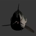 Grey Blue Shark With Streamlined Body In Underwater Marine Environment