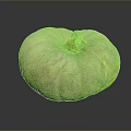 Organic Fresh Green Pumpkin With Smooth Surface On Dark Reflective Background
